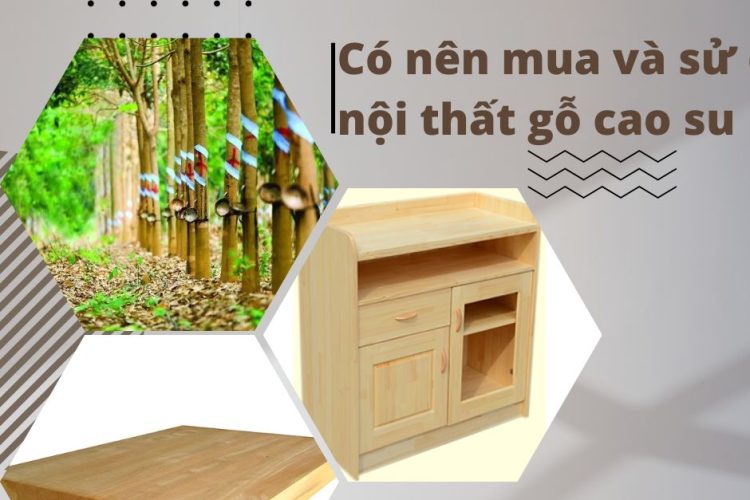 có nên mua và sử dụng nội thất gỗ cao su